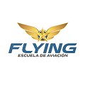 logo FLYING